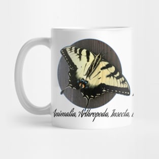 Swallowtail taxonomy Mug